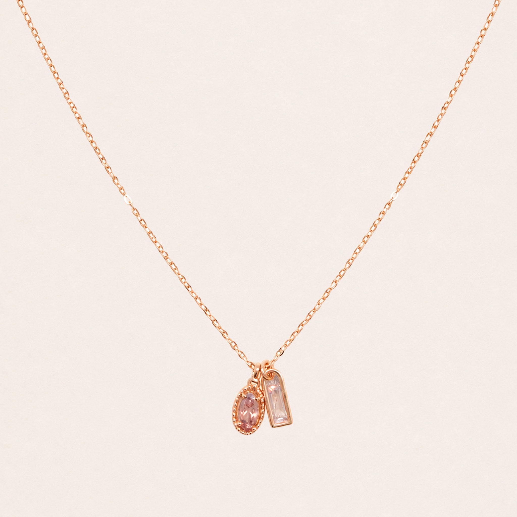 Dual Charm Necklace